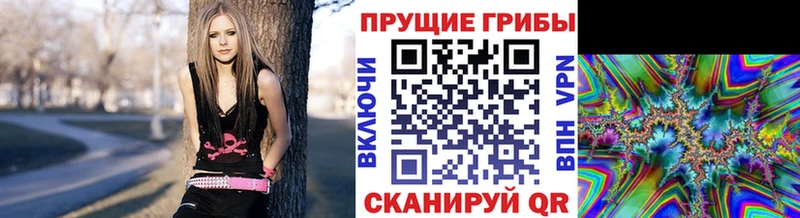 Псилоцибиновые грибы Psilocybe Ухта